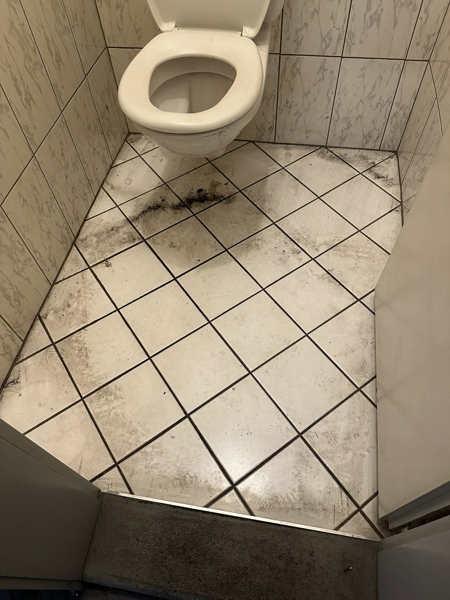Toilettes avant nettoyage